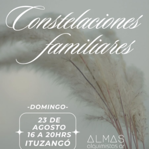 23/08 constelaciones familiares