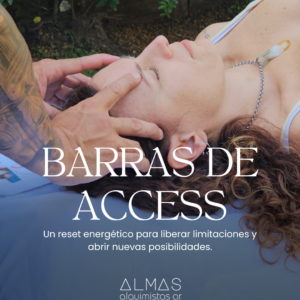 barras de access